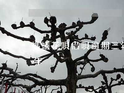 螞蟻花唄借唄逾期三年 螞蟻花唄借唄逾期三年