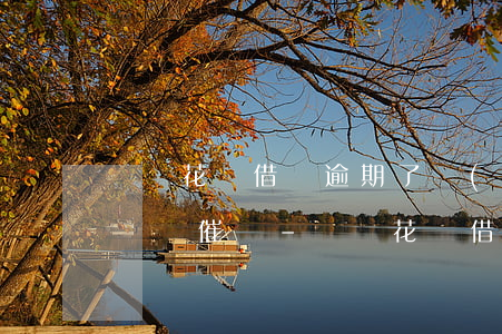 螞蟻花唄借唄逾期了會(huì)有人打電話來催嗎-螞蟻花唄借唄逾期了會(huì)有人打電話來催嗎