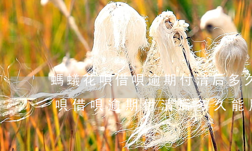 螞蟻花唄借唄逾期付清后多久能用-螞蟻花唄借唄逾期付清后多久能用啊