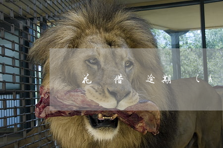 螞蟻花唄借唄逾期會(huì)被起訴嗎