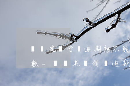 螞蟻花唄借唄逾期能不能協(xié)商還款-螞蟻花唄借唄逾期能不能協(xié)商還款呢