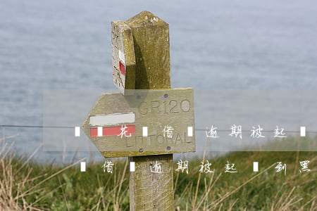 螞蟻花唄借唄逾期被起訴到黑名單-螞蟻花唄借唄逾期被起訴到黑名單怎么辦