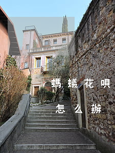 螞蟻花唄借唄逾期說立案(借唄逾期被起訴了怎么辦?)