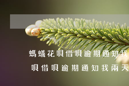 螞蟻花唄借唄逾期通知我兩天還清-螞蟻花唄借唄逾期通知我兩天還清怎么辦