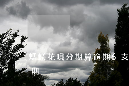 螞蟻花唄分期算逾期6(支付寶花唄逾期在分期)