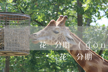 螞蟻花唄分期購(gòu)物然后還款怎么還-螞蟻花唄分期購(gòu)物然后還款怎么還不了