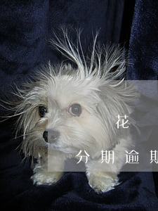 螞蟻花唄分期逾期被起訴的案例(支付寶花唄分期逾期)