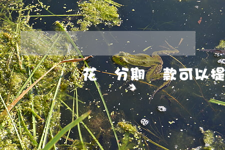 螞蟻花唄分期還款可以提前還嗎-