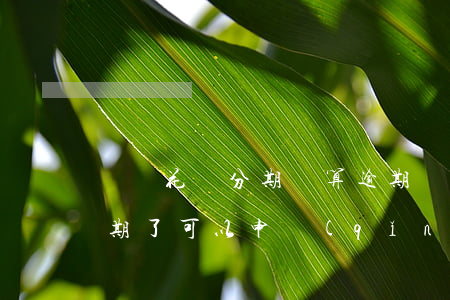螞蟻花唄分期還算逾期嗎(支付寶螞蟻花唄逾期了可以申請(qǐng)分期嗎)