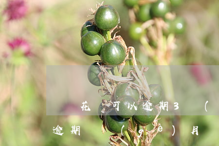 螞蟻花唄可以逾期3個(gè)月(花唄三千逾期兩個(gè)月會(huì)怎么樣)
