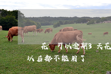 螞蟻花唄可以逾期3天(花唄逾期三天是不是以后都不能用了?)
