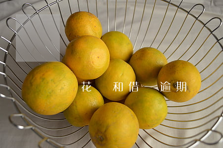 螞蟻花唄和借唄逾期兩個(gè)月