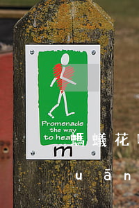 螞蟻花唄問卷逾期次數(shù)(有關(guān)花唄的問卷調(diào)查)