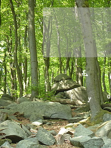 螞蟻花唄嚴(yán)重逾期后果(螞蟻花唄嚴(yán)重逾期后果)