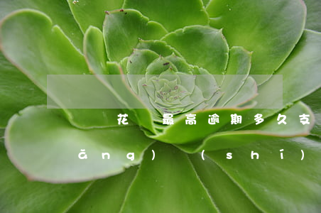 螞蟻花唄最高逾期多久(支付寶花唄長(zhǎng)時(shí)間逾期會(huì)怎樣)