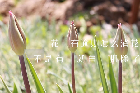 螞蟻花唄有逾期怎么消(花唄逾期了支付寶是不是有錢就自動扣除了)
