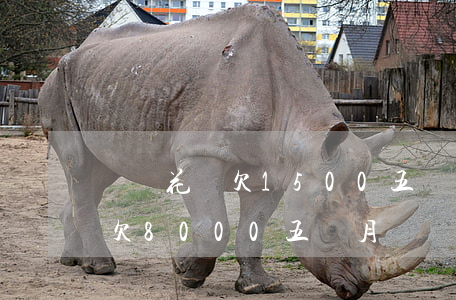 螞蟻花唄欠1500五個月沒還(支付寶花唄欠8000五個月沒還多少利息)