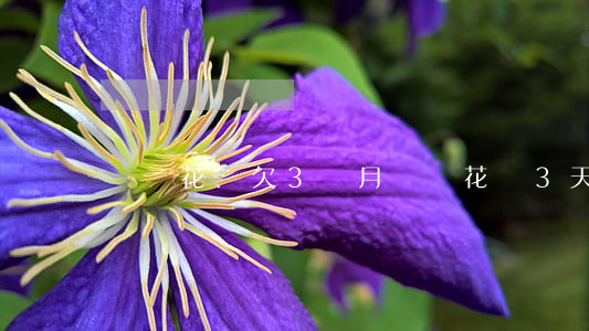 螞蟻花唄欠3個月沒還(花唄3天沒還)