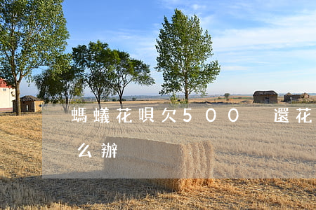 螞蟻花唄欠500沒還(花唄500還不起怎么辦)