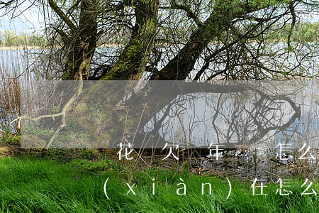 螞蟻花唄欠兩年沒還怎么辦(兩年沒還花唄了現(xiàn)在怎么還)