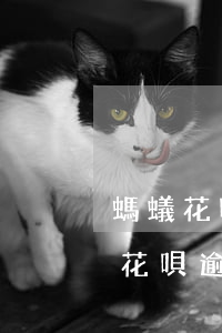 螞蟻花唄欠款逾期說會上門來 是真的嗎（螞蟻花唄逾期上門）
