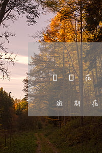 螞蟻花唄無(wú)法長(zhǎng)期逾期(花唄沒(méi)有逾期卻無(wú)法正常使用了怎么辦)