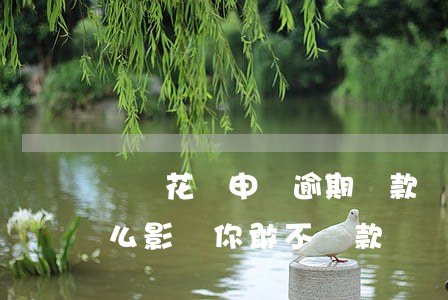 螞蟻花唄申請逾期還款嗎(花唄逾期還款有什么影響?你敢不還款嗎)