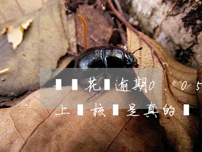 螞蟻花唄逾期0.05(螞蟻花唄逾期三個月上門核實是真的嗎)