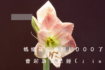 螞蟻花唄逾期1000了(花唄逾期多少金額會起訴,我已經(jīng)還了2000多)