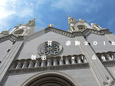 螞蟻花唄逾期2016(螞蟻花唄逾期多少天就出現(xiàn)在征信報(bào)告中)