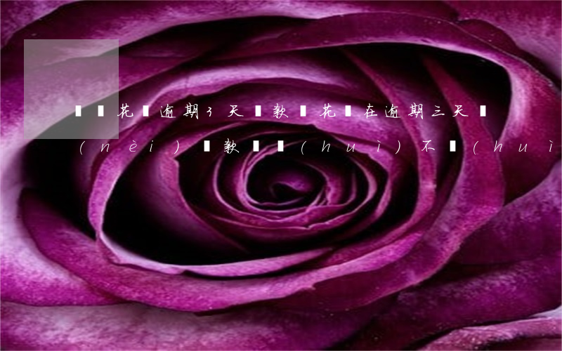螞蟻花唄逾期3天還款嗎(花唄在逾期三天內(nèi)還款還會(huì)不會(huì)有不良記錄)