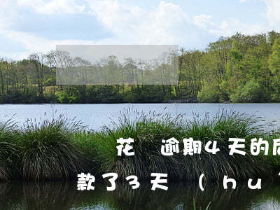 螞蟻花唄逾期4天的后果(花唄不小心逾期還款了3天會(huì)有什么影響)