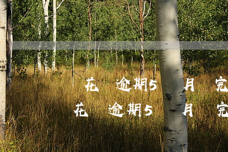 螞蟻花唄逾期5個月還完多久可以在用-螞蟻花唄逾期5個月還完多久可以在用啊