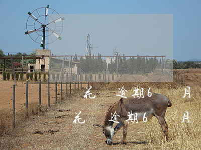 螞蟻花唄逾期6個月還了之后會有事嗎-螞蟻花唄逾期6個月還了之后會有事嗎