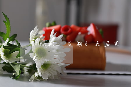 螞蟻花唄逾期6天后果(螞蟻花唄逾期6天后果)