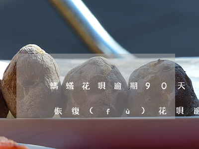 螞蟻花唄逾期90天,還上之后無法使用怎么恢復(fù)（花唄逾期90天嚴(yán)重嗎）