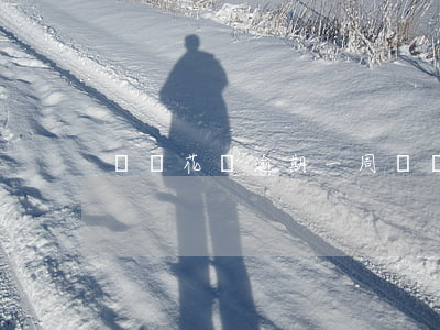螞蟻花唄逾期一周（螞蟻花唄逾期一周）