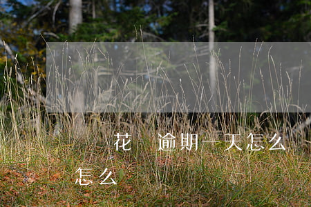 螞蟻花唄逾期一天怎么辦(螞蟻花唄逾期一天怎么辦)