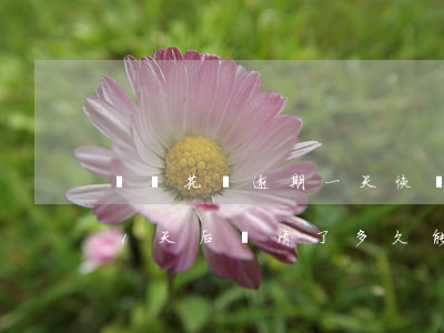 螞蟻花唄逾期一天恢復(fù)-花唄逾期1天后還清了多久能恢復(fù)使用資格