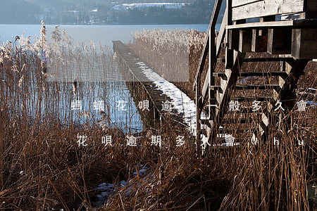 螞蟻花唄逾期一般多久會(huì)起訴-花唄逾期多久會(huì)被起訴?花唄逾起訴