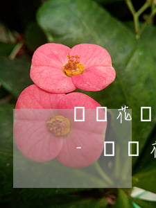 螞蟻花唄逾期三個月后會影響開通信用卡嗎-螞蟻花唄逾期三個月后會影響開通信用卡嗎