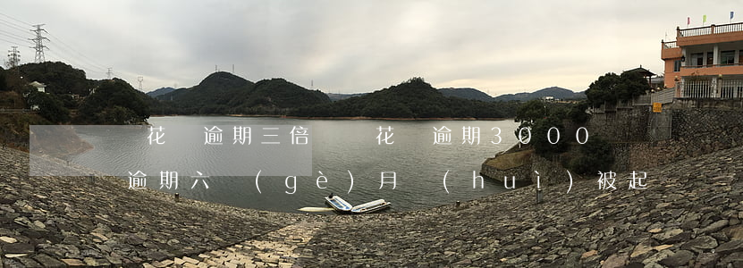 螞蟻花唄逾期三倍賠償(花唄逾期3000塊錢逾期六個(gè)月會(huì)被起訴嗎)
