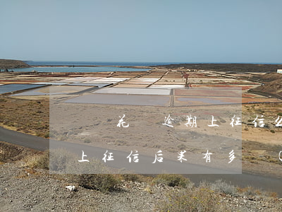 螞蟻花唄逾期上征信么(支付寶花唄逾期多久上征信?后果有多嚴(yán)重?)