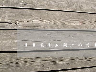 螞蟻花唄逾期上征信(螞蟻花唄逾期上征信)