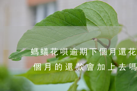螞蟻花唄逾期下個月還(花唄逾期到下個月,下個月的還款會加上去嗎)
