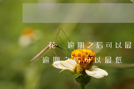 螞蟻花唄逾期之后可以最低還款么-螞蟻花唄逾期之后可以最低還款么嗎