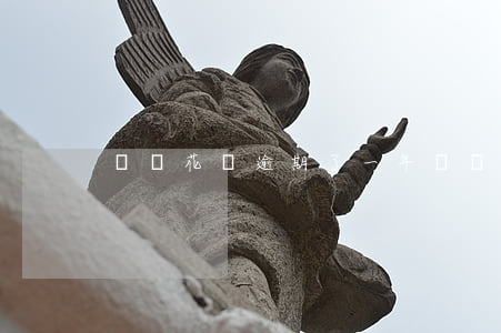 螞蟻花唄逾期了一年(螞蟻花唄逾期了一年)