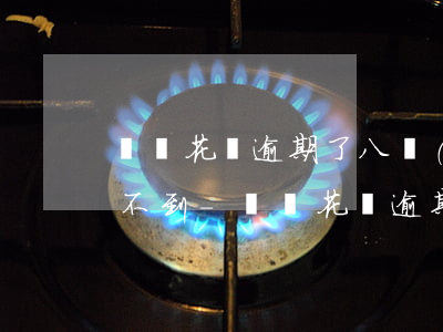 螞蟻花唄逾期了八個(gè)月了欠了四千不到-螞蟻花唄逾期了八個(gè)月了欠了四千不到兩千