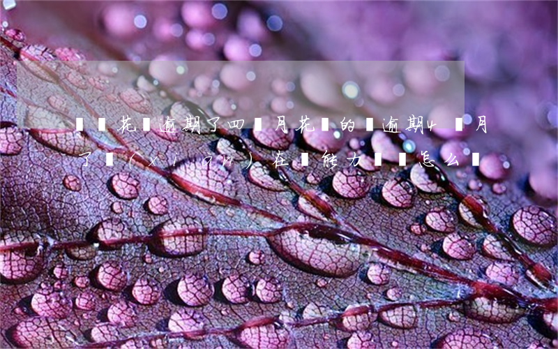 螞蟻花唄逾期了四個月(花唄的錢逾期4個月了現(xiàn)在沒能力償還怎么辦)