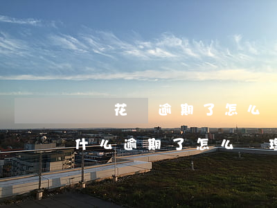螞蟻花唄逾期了怎么辦(花唄顯示逾期不知道什么逾期了怎么處理)